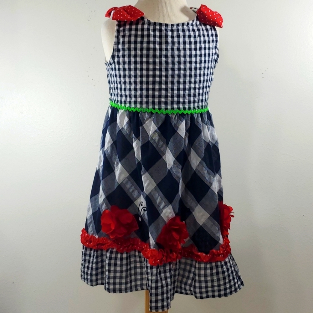 You gland checker blue & is ladybug dress 4T